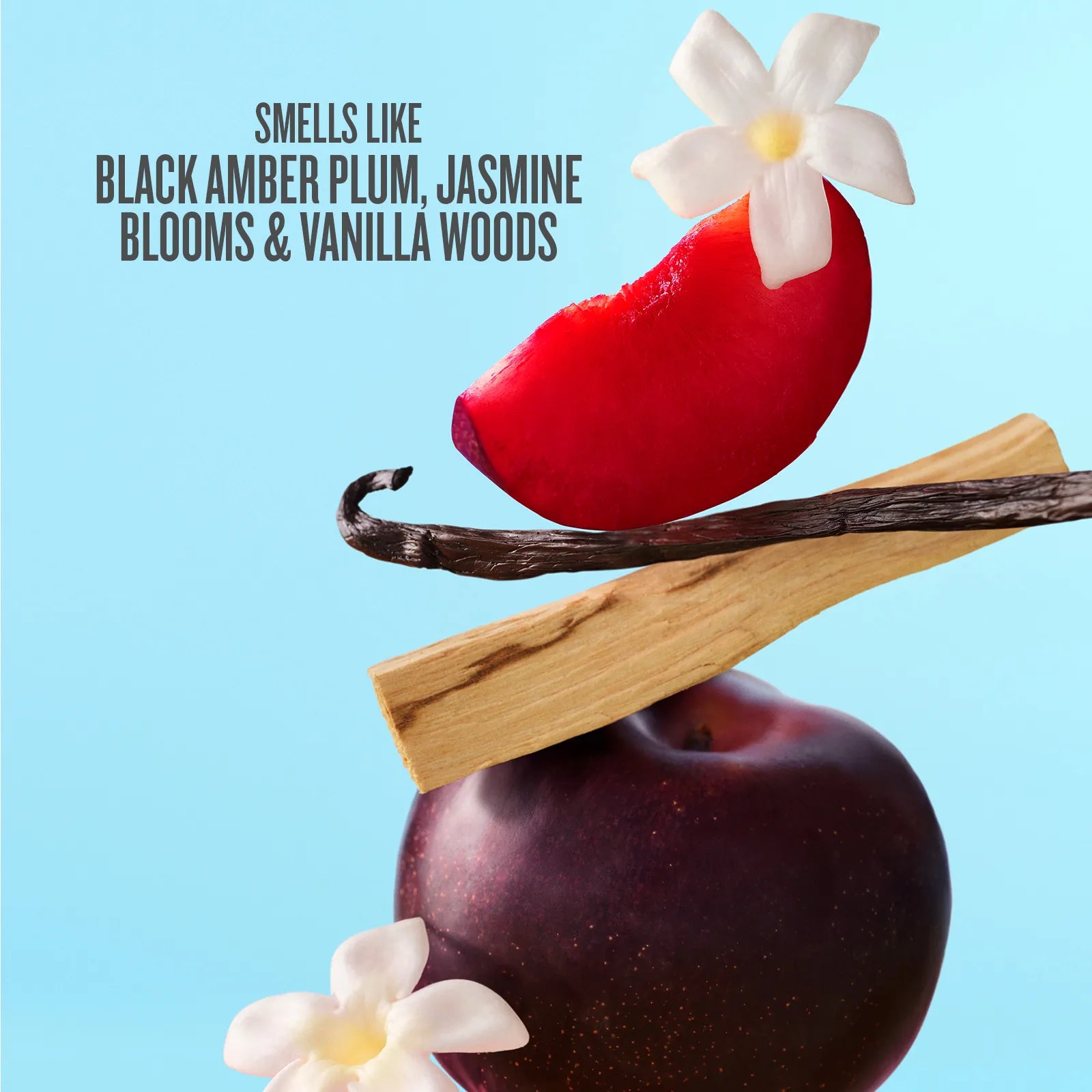 2._INGREDIENTS_C40_1600x1600_text.jpg